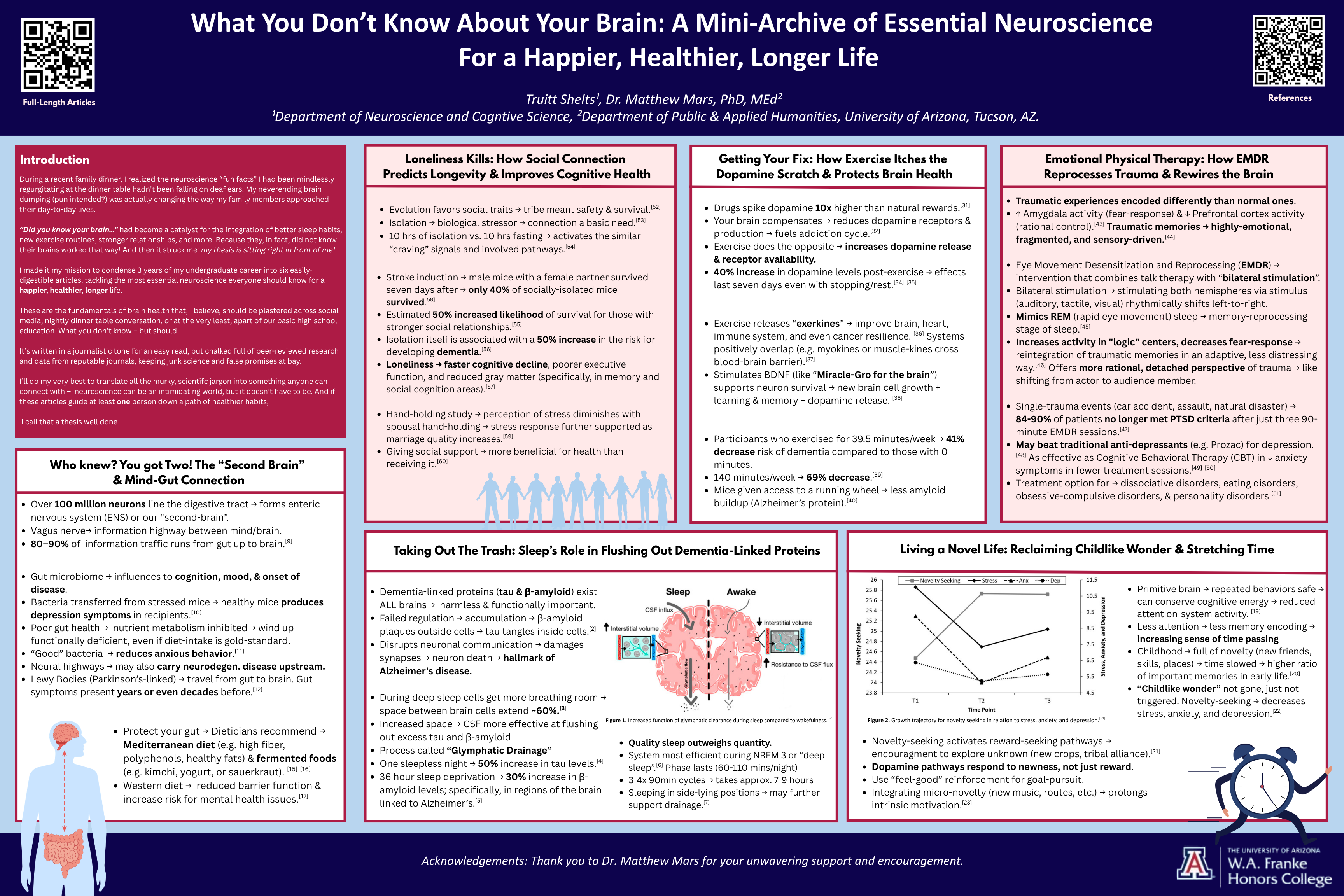 Thesis poster: What You Don't Know About Your Brain